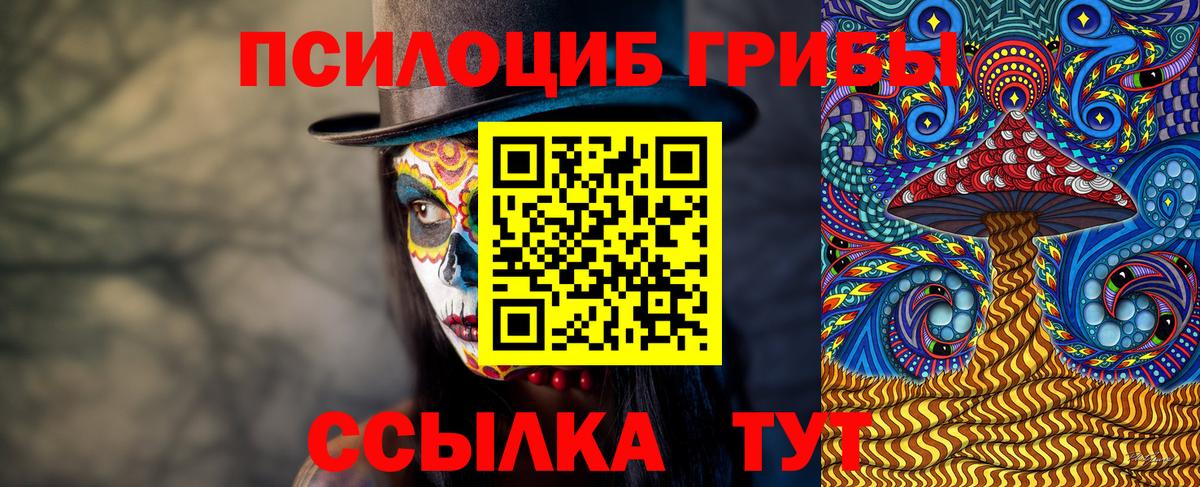 Псилоцибиновые грибы ЛСД  наркота  Богородицк  Псилоцибиновые грибы MAGIC MUSHROOMS  Вход с VPN 